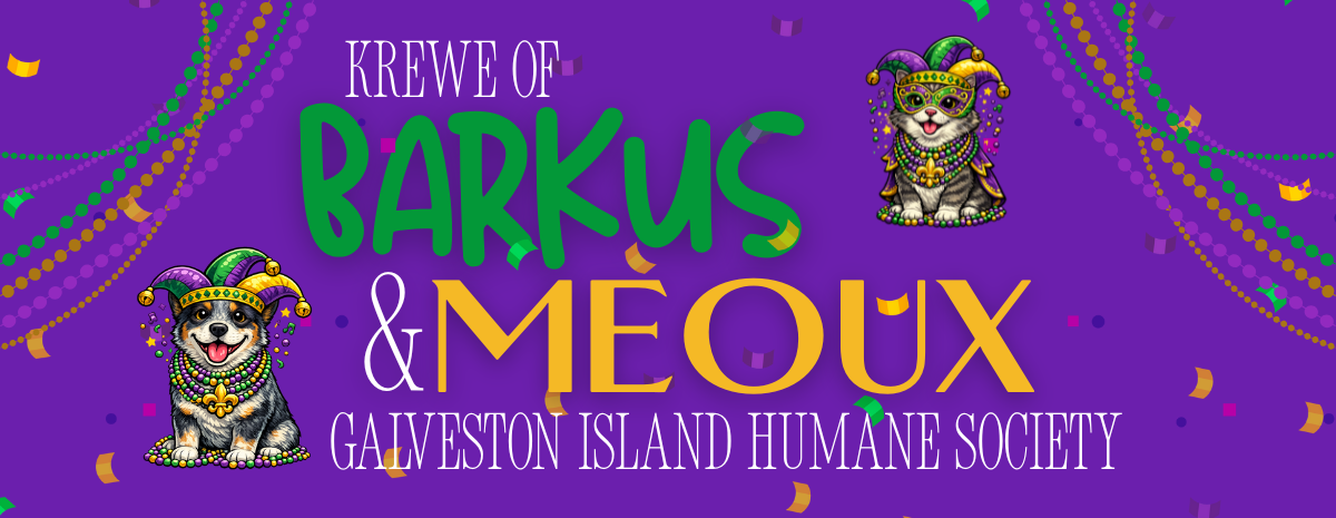 Krewe of Barkus & Meoux Parade